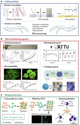 Polysaccharide-Based Hydrogels for Wound Dressing: Design Considerations and Clinical Applications